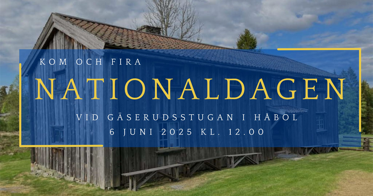 habol-nationaldag-25