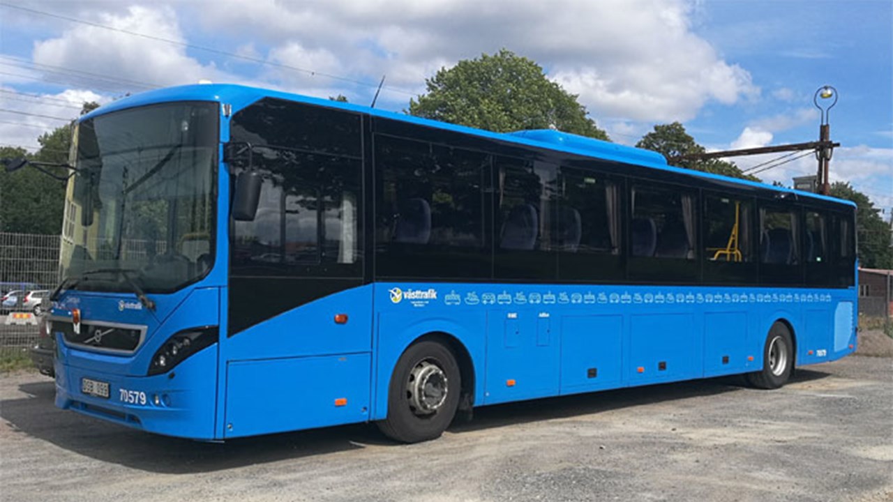 Buss Big